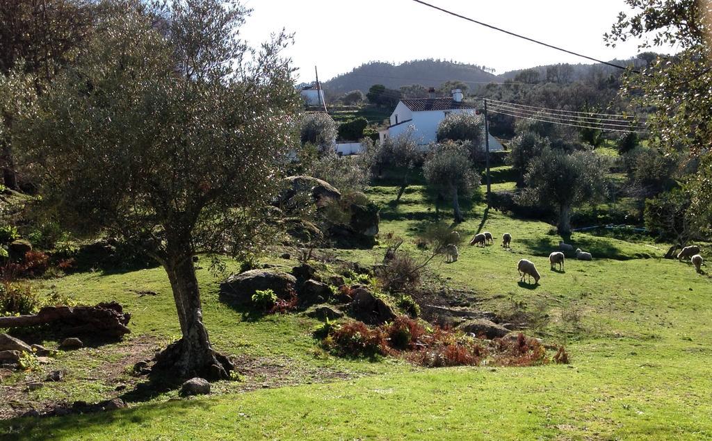 Vila Refugio Da Maceira Marvão Exteriér fotografie