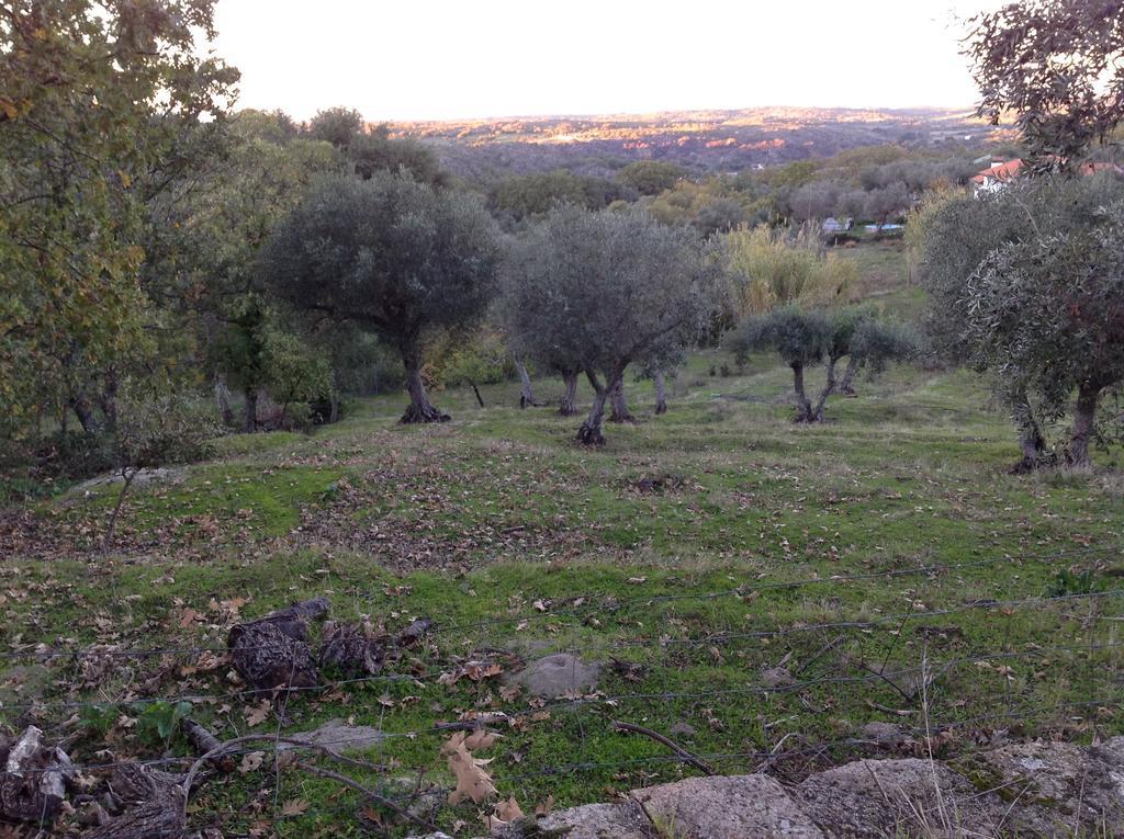 Vila Refugio Da Maceira Marvão Pokoj fotografie