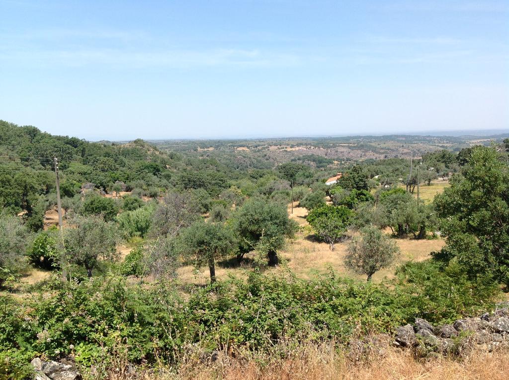 Vila Refugio Da Maceira Marvão Exteriér fotografie